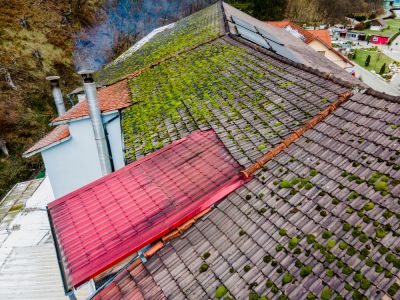 Roof Mildew Removal - Roofing Yucaipa, California