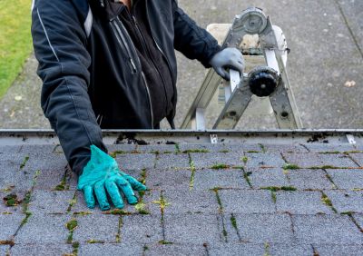 Roof Moss Cleaning - Roofing Walnut Creek, California