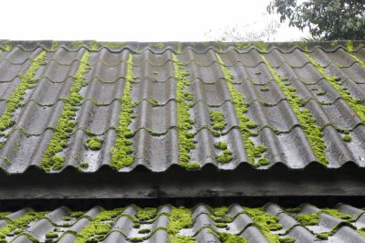 Roof Moss Removal - Roofing Lenawee County, Michigan