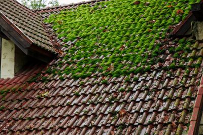 Roof Shingles Cleaning - Roofing Jay, Maine