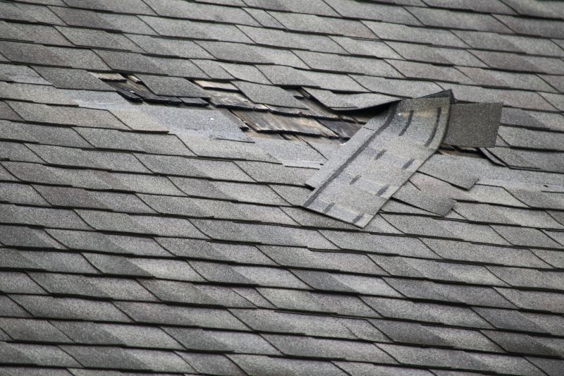 Repairing Damaged Shingles
