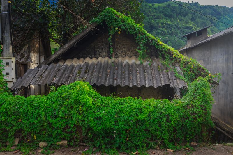Products For Roofings in use